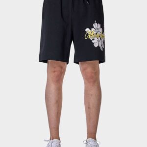 product-27327-1062220830 Shorts