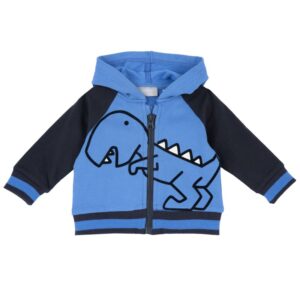 Hoodie Zip up